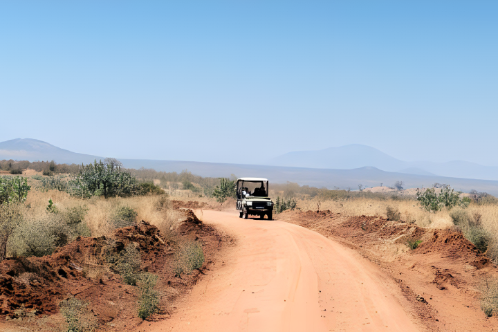 TANZANIA SOUTHERN CIRCUIT SAFARI