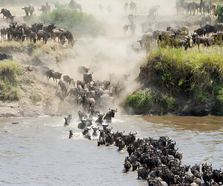 Grumeti River Crossing